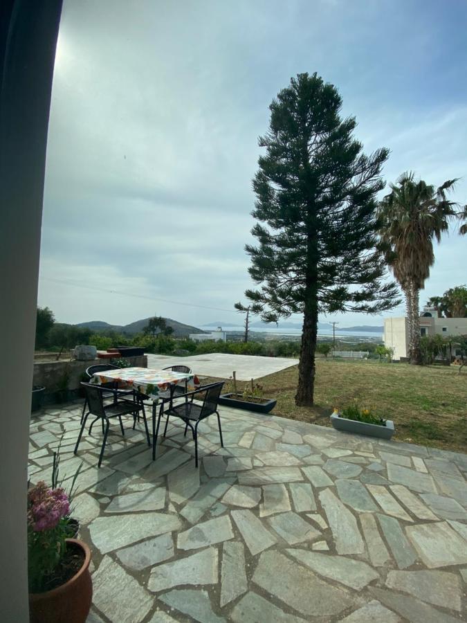 Villa Handra Asfendiou